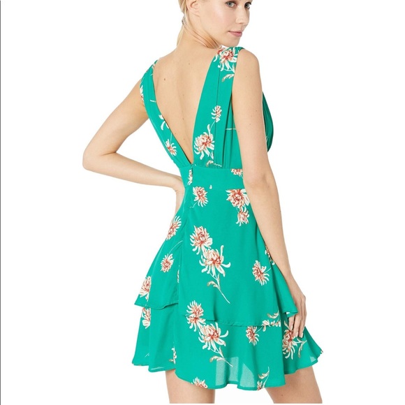 NWT BB Dakota garden strolls dress in green! - Picture 16 of 16
